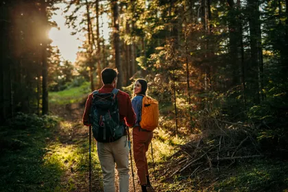 Turisté na lesní cestě